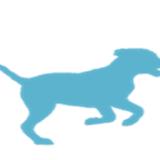 dog-training.me - Pets in Kenai