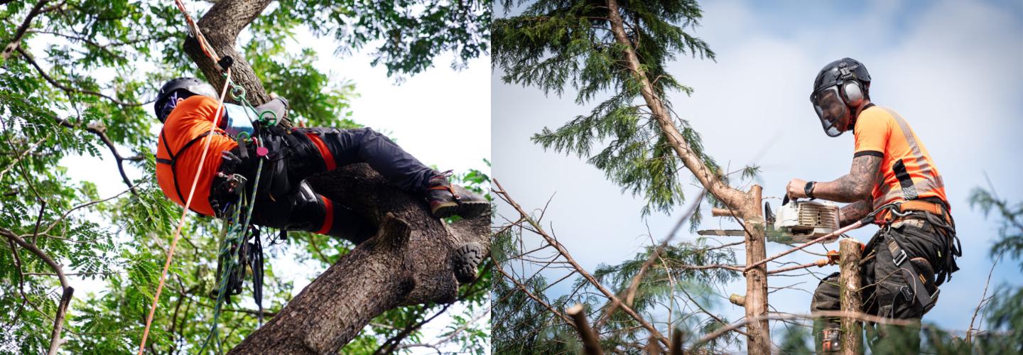 U & W Tree Surgery Ltd-Tree Surgeon Arborist cover photo