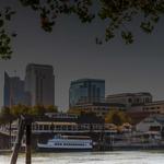 Local Pest Solutions - photo 1