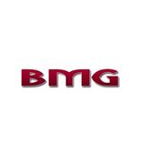 BMG Auto Sales & Repair