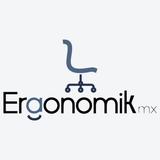 ERGONOMIK.MX - Business Financing in San Pedro Garza Garcia