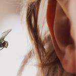 Tranquil Hearing Care - photo 2