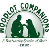 Woodlot Companions - Dog Walkers in Millersburg