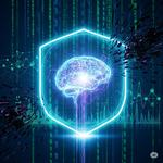 Transorg Analytics - photo 8