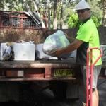 Rubbishrus - photo 1