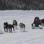 NunatuKavut Community Council  - photo 3