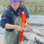 NunatuKavut Community Council  - photo 4