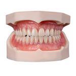 PM KJB Dental Lab - photo 2