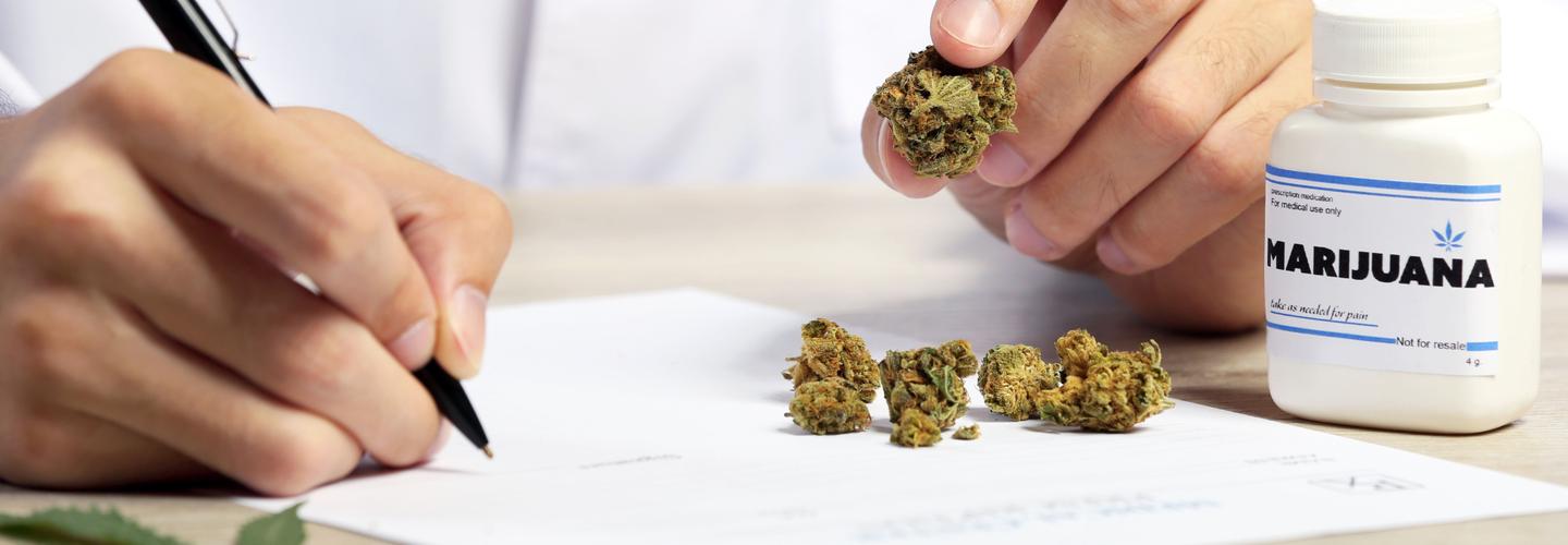 My Florida Green Fort Myers cover photo