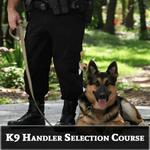 Custom Canine Unlimited - photo 1