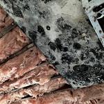 SERVPRO of Southbury/Torrington - photo 1