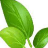 solarenergysetup - Business Financial Consultants in Virginia Beach