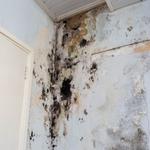 Shore Safe Restoration Services, LLC - photo 3