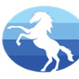 Bluechip Builder - Construction Site/ Building Site Cleaning in Dillingham