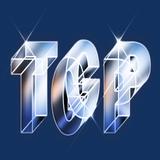 Technical Glass Products - Manufacturer in Painesville