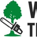 Worcester Tree Removal - Tree Services in Worcester