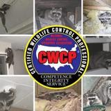 Swarthmore County Animal Control - Landmarks & Historical Buildings in Swarthmore