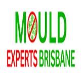 Mould Experts Brisbane - Cleaning Services in Bowen Hills