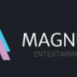 Magnum Entertainment - Professional Services in Stockton-on-Tees