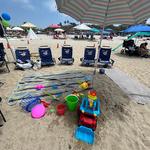 Beach Day Valet - photo 3