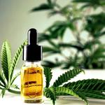 High Time Metal- & Headshop - photo 1