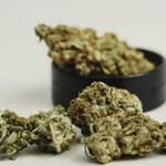 High Time Metal- & Headshop - photo 5