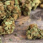 High Time Metal- & Headshop - photo 6