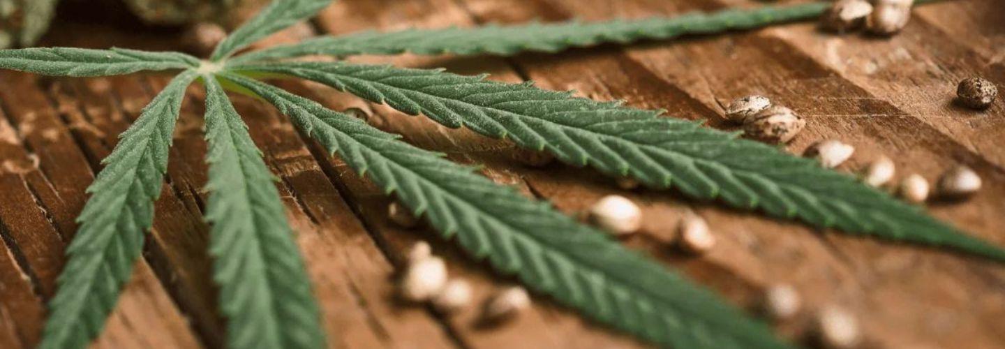 High Time Metal- & Headshop cover photo