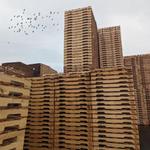 PalletOne Inc. - photo 1