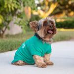 Louie De Coton - photo 1