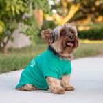 Louie De Coton - photo 2