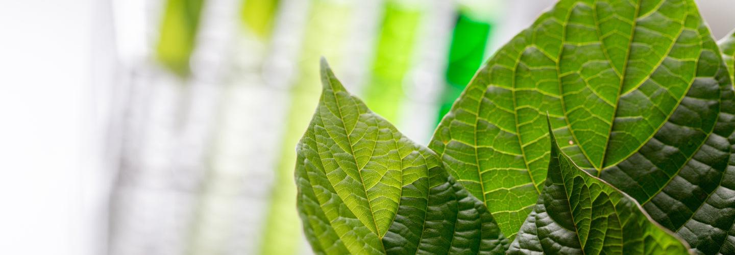 Mitra Science cover photo