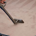 Dry as bone Carpet Cleaning - photo 3