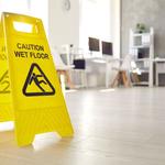 Dry as bone Carpet Cleaning - photo 4