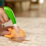 Dry as bone Carpet Cleaning - photo 7