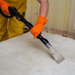 Dry as bone Carpet Cleaning - photo 8
