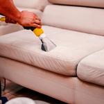 Dry as bone Carpet Cleaning - photo 9