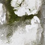 TT&S Decon - photo 6