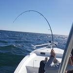 Upper Hand Charters - photo 5