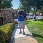 Squeegee Pro - photo 4