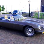 EZ Ride Rentals LLC - photo 7