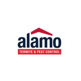 Alamo Termite & Pest Control - Pest Control in Dallas
