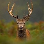 John Fisher’s Cottage - photo 4