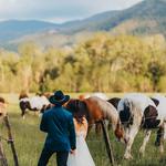 Effortless Elopements - photo 4