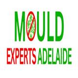 Mould Experts Adelaide - Cleaning Services in North Adelaide