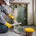 Mould Experts Adelaide - photo 1