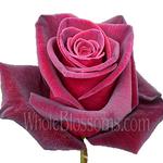 Whole Blossoms - photo 1