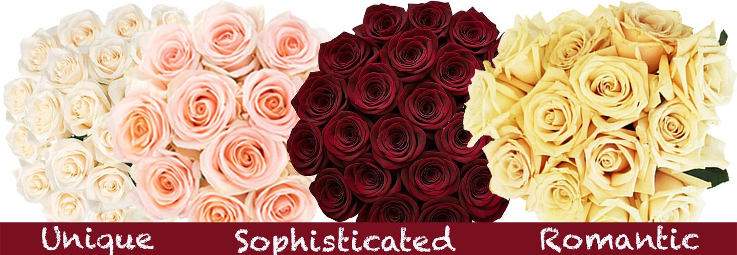 Whole Blossoms cover photo