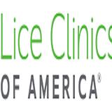 Lice Clinics of America - Springfield MO - Lice Services in Springfield