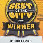 Dogtopia of Albuquerque West - photo 4